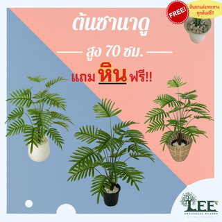 ต้นซานาดู สูง 70 ซม. 18 ใบ ต้นไม้ปลอมตกแต่งบ้าน (L36)