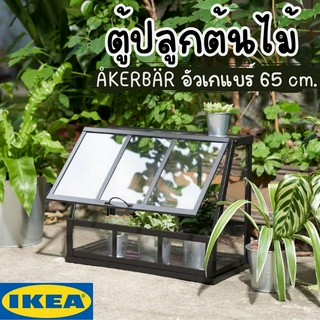 **จำกัดออเดอร์ละ 1 ชิ้นนะคะ**ตู้ปลูกต้นไม้ IKEA ใน/นอกอาคาร ÅKERBÄR อัวเกแบร์ 65 เซน