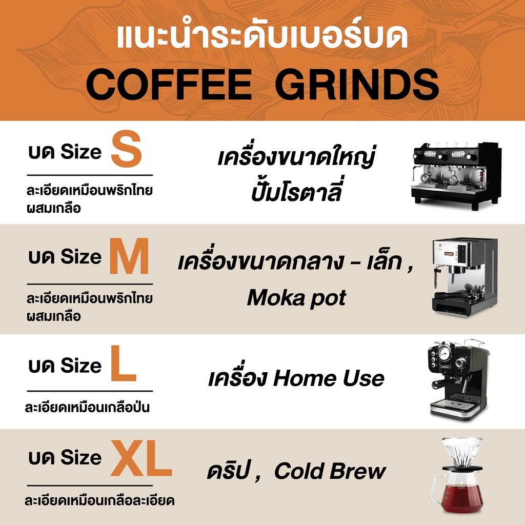 เมล็ดกาแฟคั่ว Espresso Pure by NLCOFFEE กาแฟโรบัสต้า100% (250กรัม/1 ถุง) - รูปที่ 5