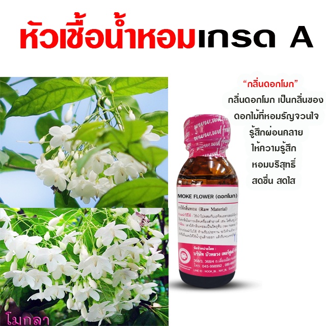 หัวเชื้อ น้ำหอม เกรด A กลิ่นดอกโมก 30 ml. หอมรัญจวนใจ ผ่อนคลาย {{ พร้อมส่ง }} - Bualuang Perfume