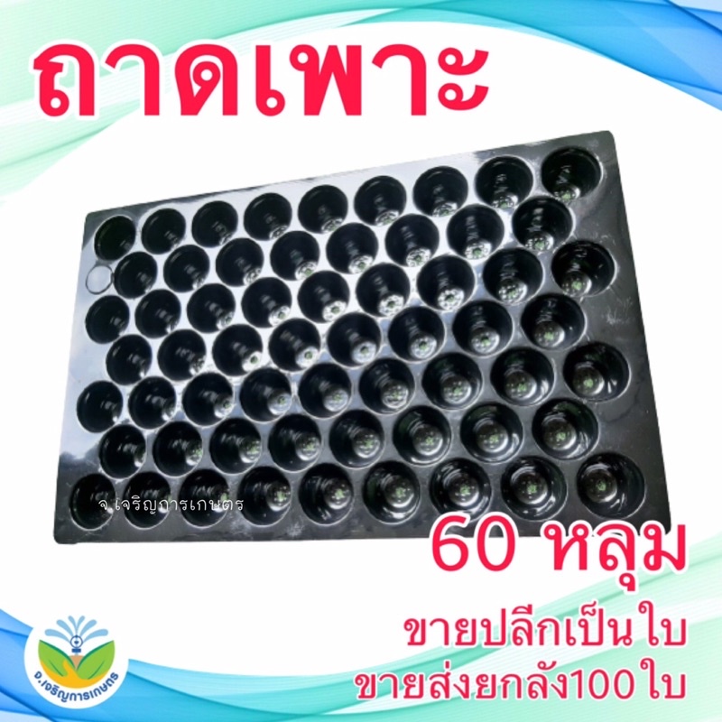 ถาดเพาะ ถาดเพาะกล้า ถาดเพาะเมล็ด แบบหนา 60-104-105-200 หลุม