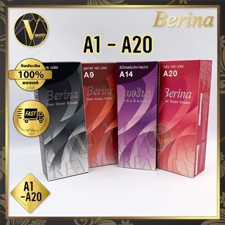 (เบอร์ A1 - A20) Berina Hair Color Cream ครีมย้อมผม เบอริน่า คัลเลอร์ ครีม A1 - A20 (60 g.)