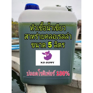 หัวเชื้อน้ำเขียว/สาหร่ายคลอเรลล่า ขนาด 5 ลิตร