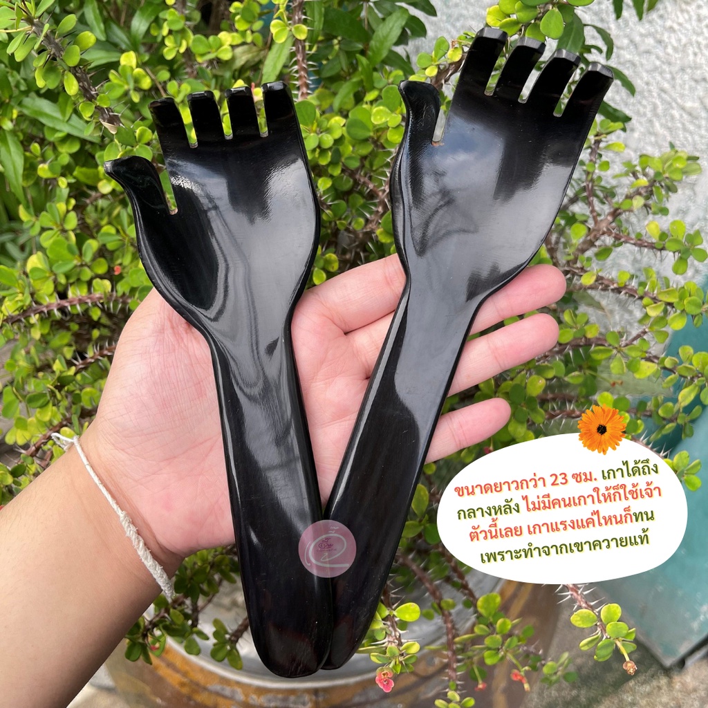 พร้อมส่ง🌿 มือเกาหลังเขาควาย🐃 ไม้เกาหลัง กัวซาเขาควาย เกาสบายเหมือนใช้มือจริง - รูปที่ 2