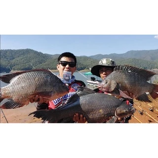 เหยื่อตกปลามะพร้าวอบไผ่เขียว
