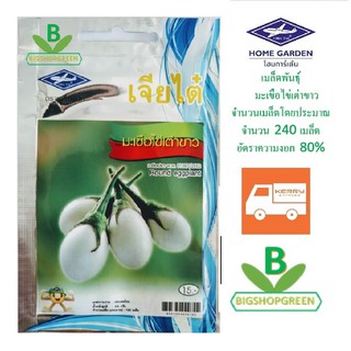 5 ฟรี 1 คละได้ เมล็ดพันธุ์ มะเขือไข่เต่าขาว (Round eggplant) เจียไต๋ เมล็ดผัก เมล็ดพันธุ์พืช  เมล็ดพืช  เมล็ดพันธุ์ผัก