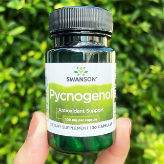 เปลือกสนฝรั่งเศสสกัด Pycnogenol 100mg 30 Capsules (Swanson®) สารสกัดเปลือกสนมาริไทม์  Antioxidant Support