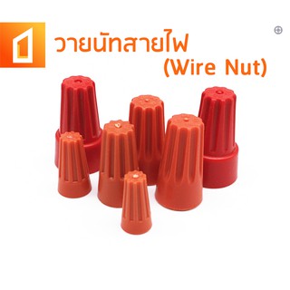 50/กล่อง วายนัท วายนัทจับสายไฟ (Wire Nut connectors) วายนัทต่อสายไฟ เซ็ตวายนัท