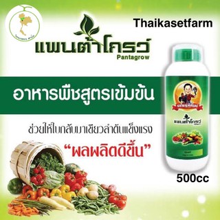 แพนต้าโกรว์ผู้ใหญ่สัมฤทธิ์500ซีซี💥ล้อตใหม่ล่าสุด💥🍀 ปุ๋ยน้ำ ปุ๋ยทางใบ ปุ๋ยเคมี ธาตุอาหารรอง พ่อใหญ่สัมฤทธิ์