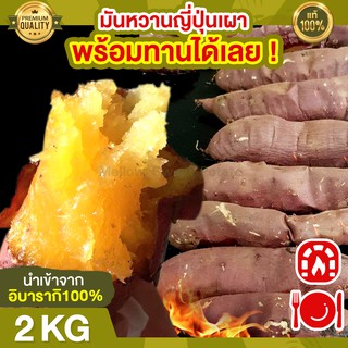 ส่งฟรี มันหวานญี่ปุ่น เบนิฮารุกะ 2kg เผาให้ ทานได้เลย 🔥นำเข้าจากญี่ปุ่นแท้ 100% มันญี่ปุ่นหวาน มันหวาน มันญี่ปุ่น