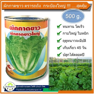 ผักกาดขาว  (ตรารถถัง) ผักกาดขาวใหญ่ (น้ำหนักสุทธิกระป๋องละ 500กรัม)