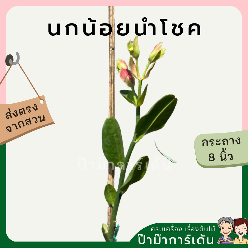 มุมมอง 3