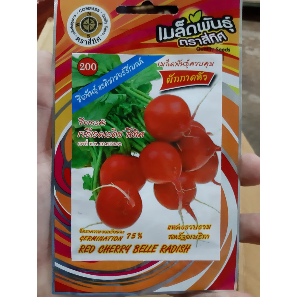แรดิช เมล็ดแรดิช เรดิช (10 แถม 1 คละได้) Red Cherry Belle Radish ตราสี่ทิศ แรดิส