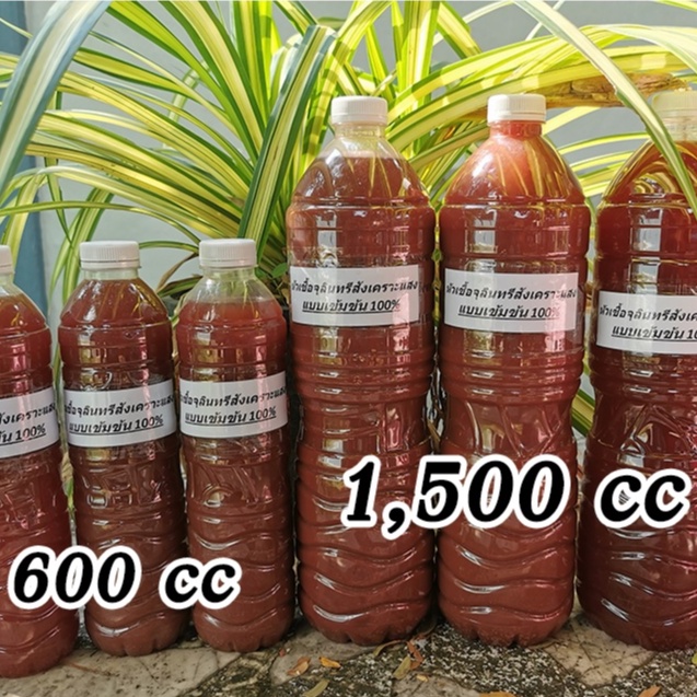 หัวเชื้อ จุลินทรีย์สังเคราะห์แสง PSB ขวด 600 cc สีแดงเข้ม100% พร้อมสูตรลับขยายภายใน 3 วัน