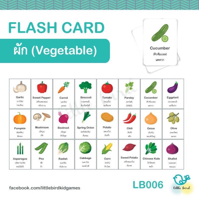 บัตรคำศัพท์ เรื่องผัก (Flash Card)