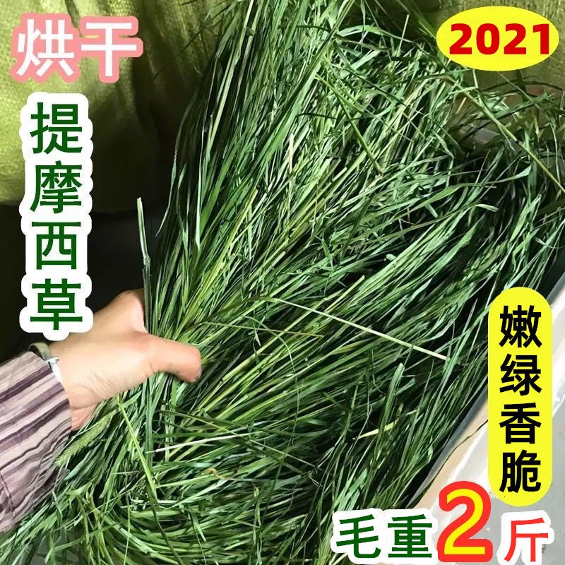 อัลฟาฟ่าคัดใบล้วน#20201 หญ้าทิโมธีแห้งใหม่ กระต่าย หญ้าแห้ง หนูตะเภา Nanti หญ้า ชินชิล่า หนูตะเภา อาหารหญ้า