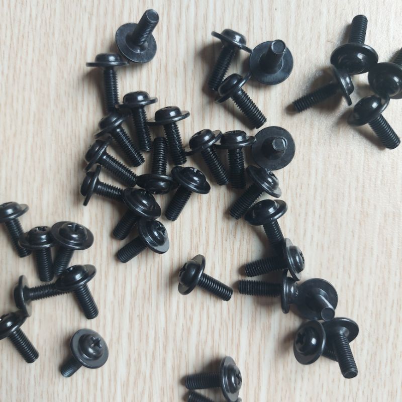 หอยทาก 5 x 15 oczin_store