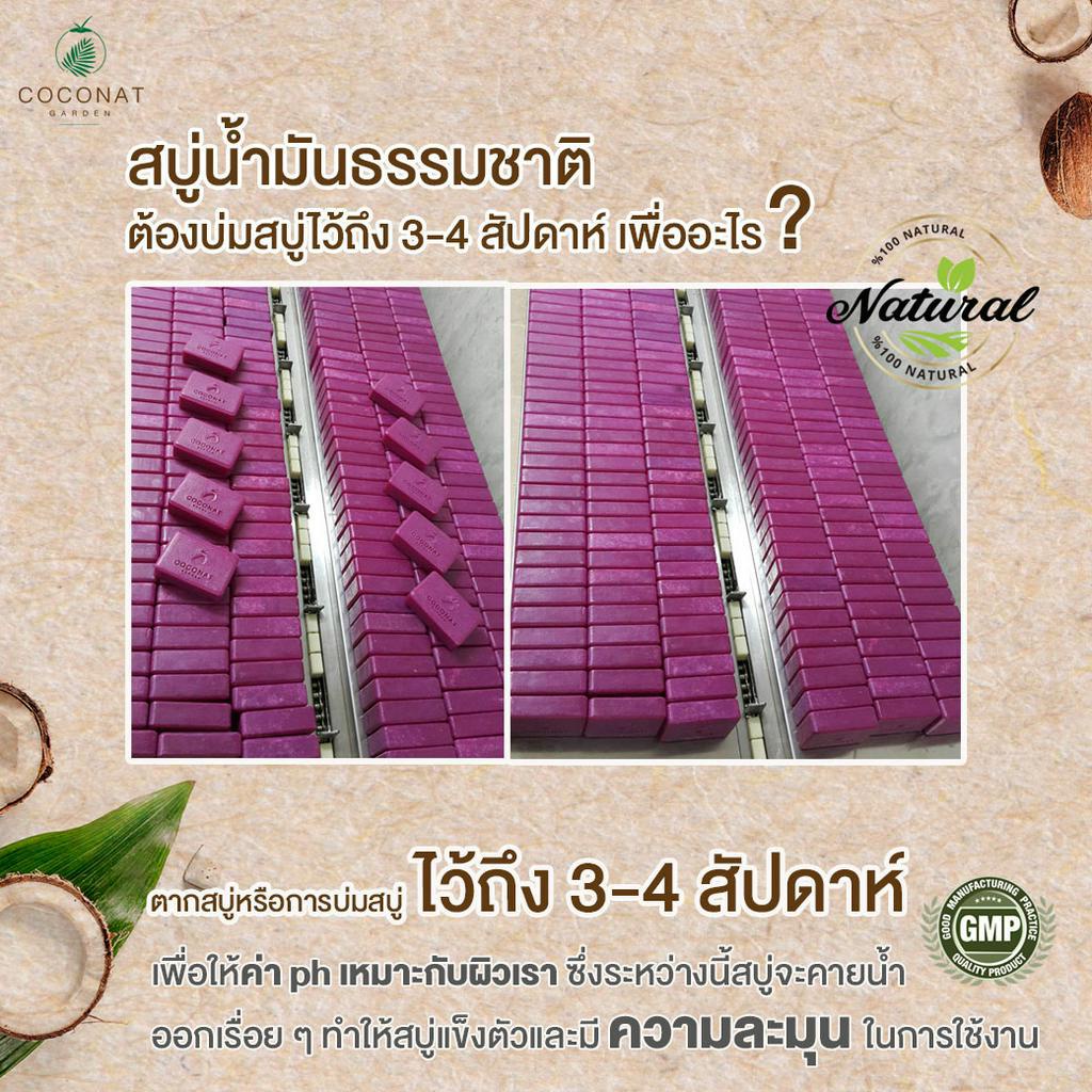 สบู่น้ำมันมะพร้าวสูตรองุ่นแดง ช่วยแก้ไขปัญหาฝ้า กระ จุดด่างดำ ไม่ใส่สารเคมี อ่อนโยน ไม่ทำให้ผิวแห้ง - รูปที่ 4