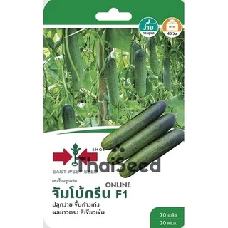 GGEW เมล็ดพันธุ์ซฟ แตงร้าน จัมโบ้กรีน 70เมล็ด ตราศรแดง Cucumber