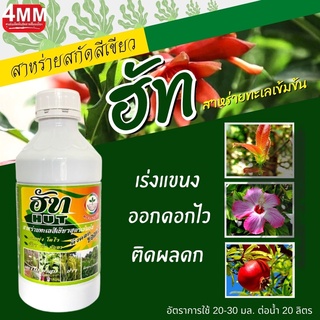 ฮัท ขนาด 1,000 ซีซี  สาหร่ายทะเลสีเขียวสูตรเข้มข้น ช่วยในการแตกยอดใบใหม่  กระตุ้นการแตกตาดอก