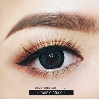 Daisy Gray (1)(2) Daizy Gray / Kiwi Gray บิ๊กอาย เทา สีเทา โทนแบ๊ว ตัดขอบดำ Contact Lens คอนแทคเลนส์ ค่าสายตา สายตาสั้น