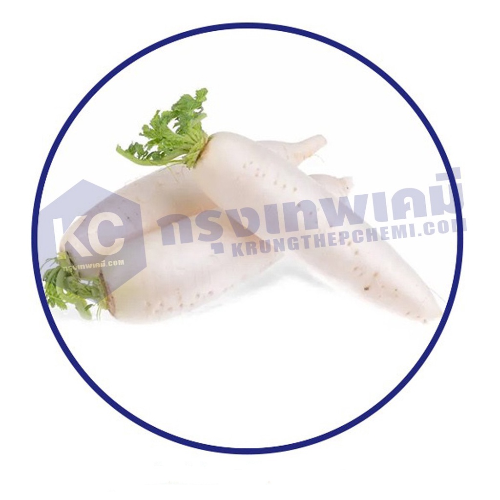T020RD-25G Radish Extract : สารสกัดหัวไชเท้า 25 กรัม