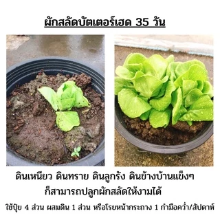 ปุ๋ยหมักคุณภาพสูง (1kg) ปุ๋ยหมัก ปุ๋ยอินทรีย์ เร่งดอก เร่งราก ดูแลลำต้น บำรุงดิน