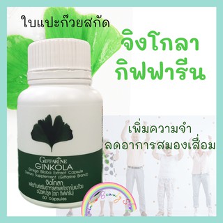 สารสกัดใบแปะก๊วย ใบแปะก๊วยสกัด กิฟฟารีน จิงโกลา Ginkola Giffarine ลดอาการสมองเสื่อม อัลไซเมอร์ สมองขาดเลือด เสียงดังในหู