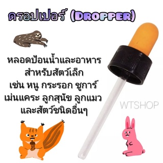 หลอดป้อนน้ำ หลอดป้อนอาหารสัตว์เล็ก ที่ป้อนนม หลอดป้อนนม ดรอปเปอร์ (Dropper)