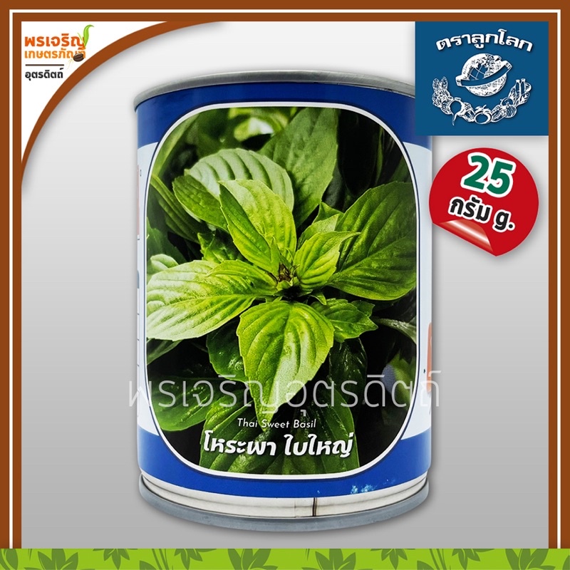 เมล็ดพันธุ์โหระพา โหระพาใบใหญ่ Thai Sweet Basil (25 กรัม) เมล็ดโหระพา เมล็ดโหระพาใบใหญ่ เมล็ดพันธุ์ผ