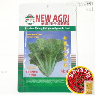 10G,~ 5000เมล็ด/จีน Royal 皇京กะหล่ำปลี * ขายส่งเมล็ด seeds NOQB