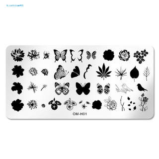 Farfi  Nail Art Stamping Plates Nails Art Stamping Plate Scraper Smooth Edge