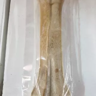 ขนมขัดฟันสุนัขคละแบบราคาไม่แพง