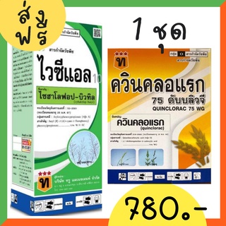 ไวซีแอล ควินคลอแรก 75% 1 ชุด ส่งฟรี