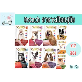 ( Exp.06/23 ) Ostech อาหารเปียกแบบซองสำหรับสุนัข ขนาด 70 กรัม ยกโหล (12 ซอง) *อ่านรายละเอียดก่อนสั่งซื้อ*