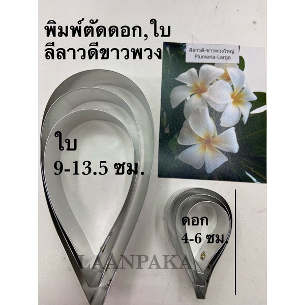 พิมพ์ตัดดอกลีลาวดี / ชิลิโคนลายดอก / อัดลายดอก / อัดลายใบลีลาวดี