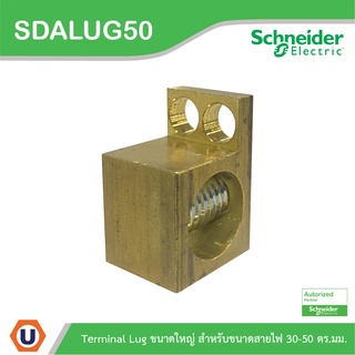 Schneider Electric SDALUG50 อุปกรณ์เสริมสำหรับตู้คอนซูมเมอร์ยูนิต Terminal Lug ขนาดใหญ่สำหรับสายไฟขนาด 30-50 ตร.มม.