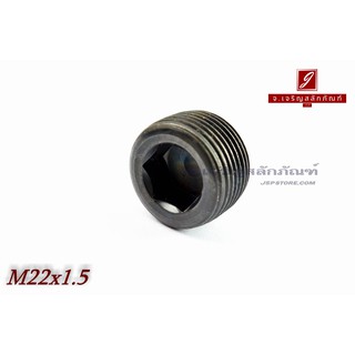 น็อตตัวหนอนดำแข็ง M22x1.5x10