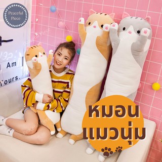 🎉พร้อมส่ง 🐈ตุ๊กตาแมว ตุ๊กตานุ่มนิ่ม หมอนแมว หมอนข้างแมวน่ารัก