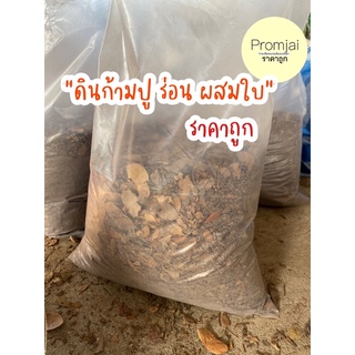 ดินใบก้ามปูร่อน ผสมใบ 3 กก ราคาถูก