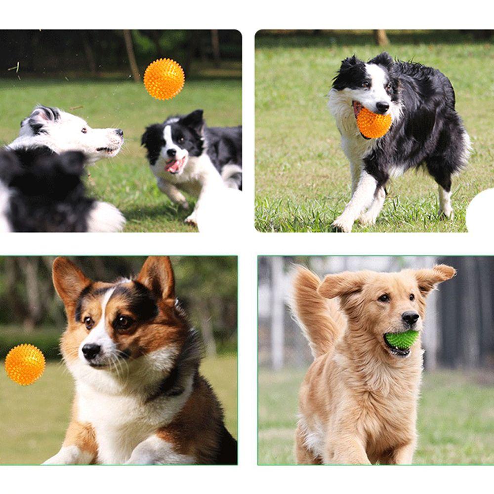 Alisond1 ลูกบอลหนาม ขนาดเล็ก ที่มีสีสัน สําหรับโกลเด้นรีทรีฟเวอร์ ขนาดใหญ่ อุปกรณ์สัตว์เลี้ยง ของเล่นสุนัข ทําความสะอาดฟัน เม่น บอล