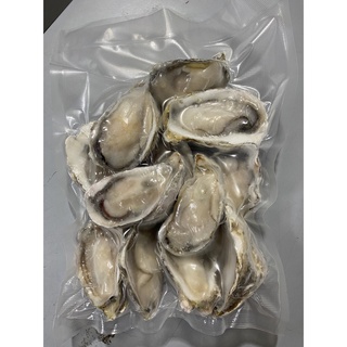 หอยนางรมเกาหลี 20PCS/PC / KOREAN HALF SHELL OYSTER