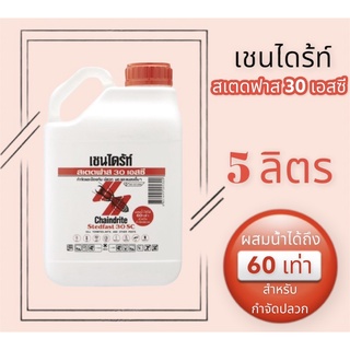 ถูกที่สุด!! 🏅ส่งฟรี🚚 เชนไดร้ท์สเตดฟาส 30 เอสซี  🩸 5 ลิตร กำจัดและป้องกันปลวก มด แมลงต่างๆ สูตรเข้มข้น