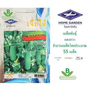 5 ฟรี 1 คละได้ เมล็ดพันธุ์ แตงกวา  ตรา  เจียไต๋  เมล็ดพันธุ์ผัก เมล็ดผัก เมล็ดพันธุ์พืช  เมล็ดพืช ผักสวนครัว