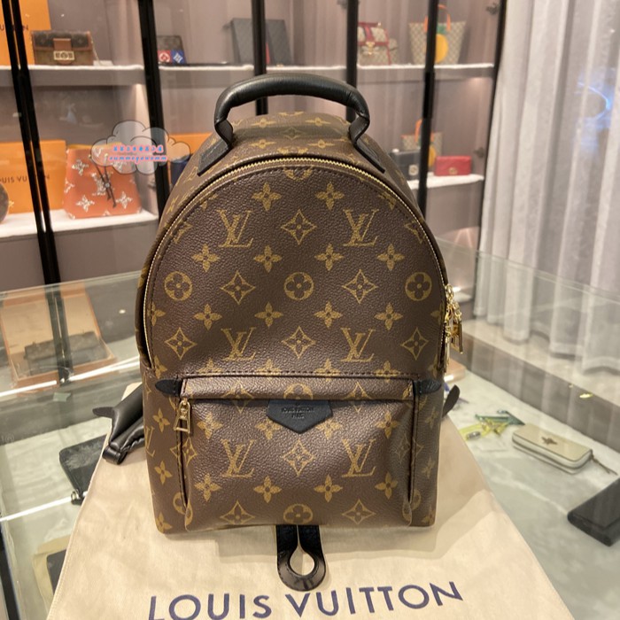 LOUIS VUITTON Louis Vuitton LV Presbyopia Palm Springs Small Backpack/Backpack/Small School Bag M44871