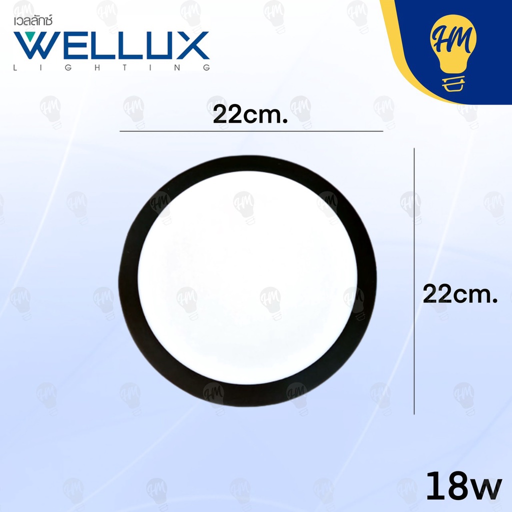 Wellux โคมไฟดาวน์ไลท์ติดลอย LED 12W 18W 24W ขอบดำ แสงขาว/แสงวอร์ม ดาวน์ไลท์ LED Panel Light - รูปที่ 4