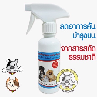 Pet8 สเปรย์ป้องกันอาการคัน บำรุงขน Anti-Itch and coat spary 250ml.