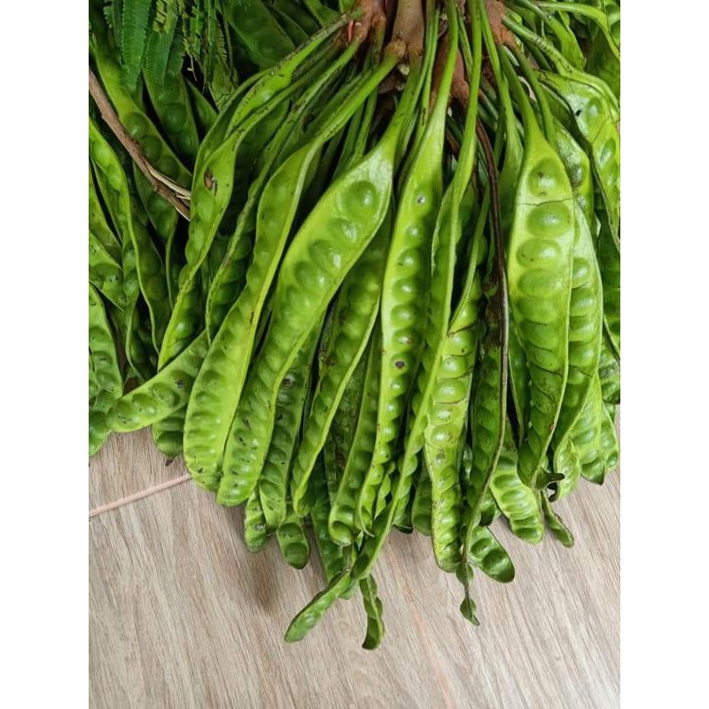 สะตอข้าวระนอง แก่จัด 109 บาท ขั้นต่ำ 10 ฝัก
