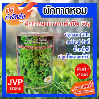 **ส่งฟรี**เมล็ดผักกาดหอม 50g. ตราภูเขาทอง ปลูกง่าย โตไว กอใหญ่ ข้อถี่ น้ำหนักดี ปลูกได้ตลอดทั้งปี