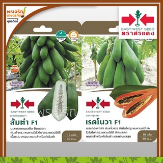 เมล็ดพันธุ์ผัก กลุ่มมะละกอ มะละกอส้มตำ (แบบซอง) เมล็ดมะละกอ มะละกอแขกดำ แขกนวล มะละกอฮอลแลนด์ เมล็ดพันธุ์คุณภาพ ตราศรแดง